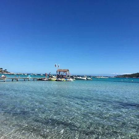 Cedra * Porto-Vecchio (Corsica)